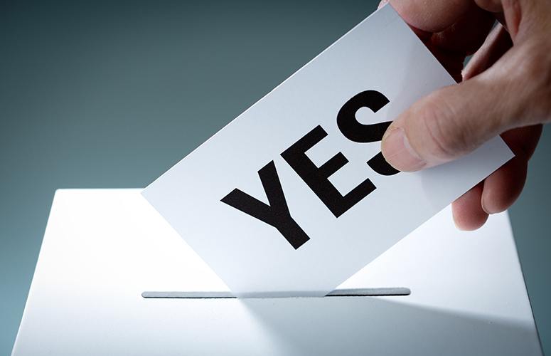 voting
